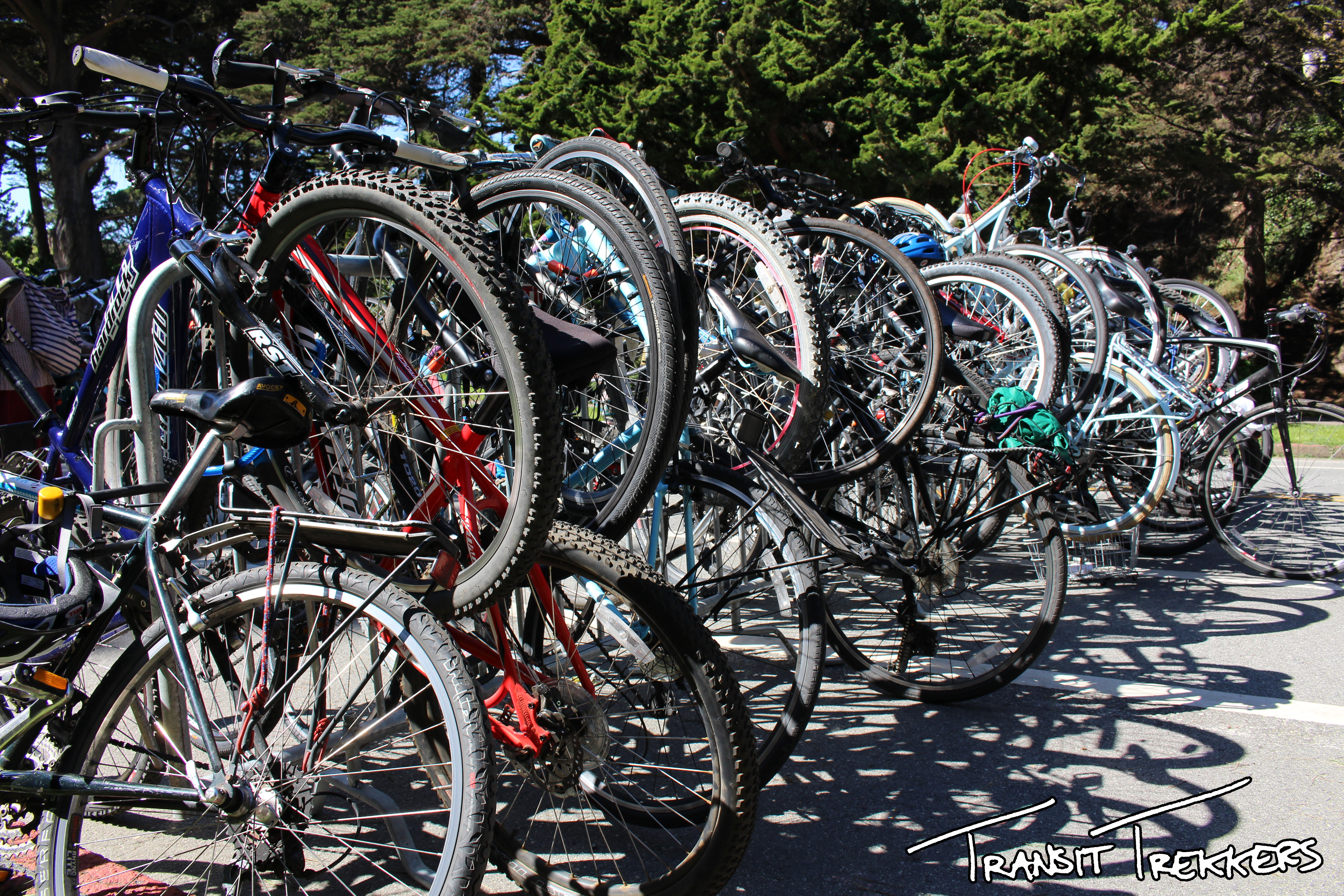 One of many racks of bikes at the Hardly Strictly Bluegrass Festival in San Francisco's Golden Gate Park