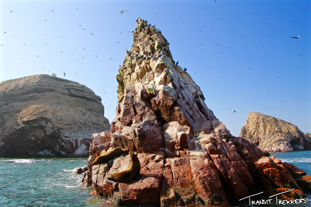 Islas Ballestas