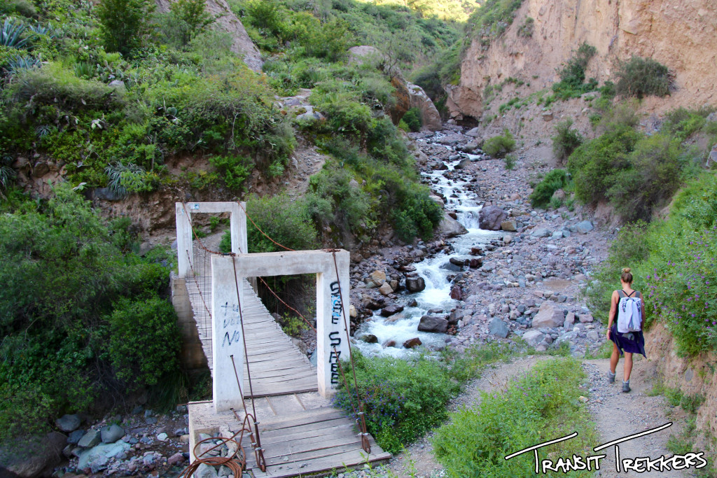 Colca Canyon Trek