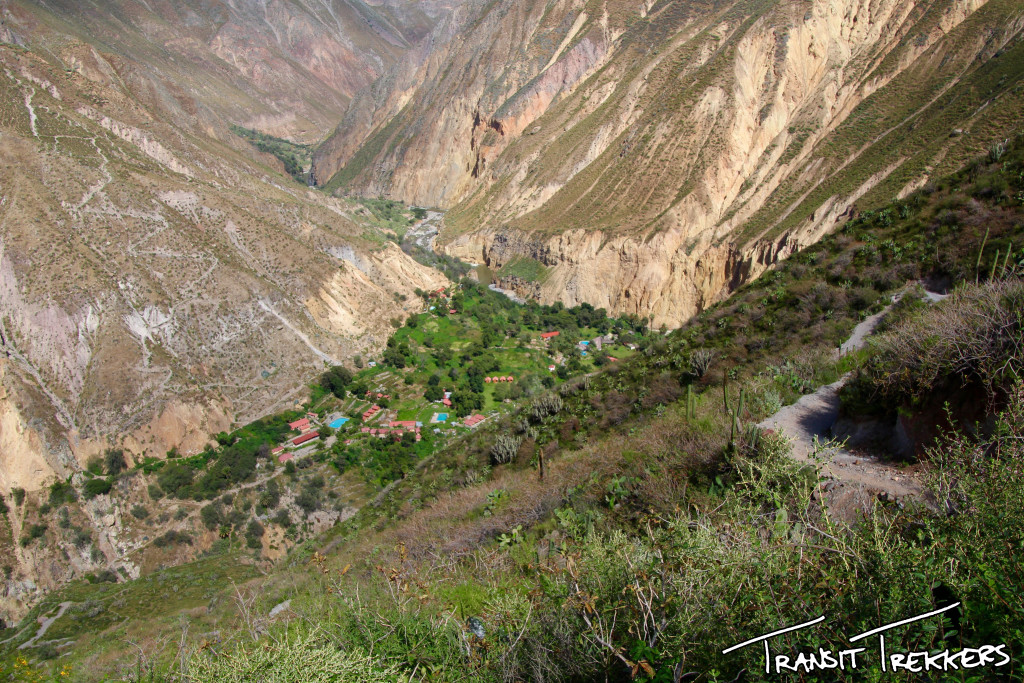 Colca Canyon Trek Oasis