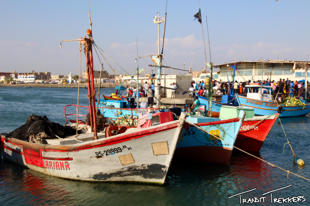 IB_Marina2