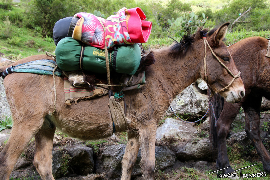 Inca Trail Ass