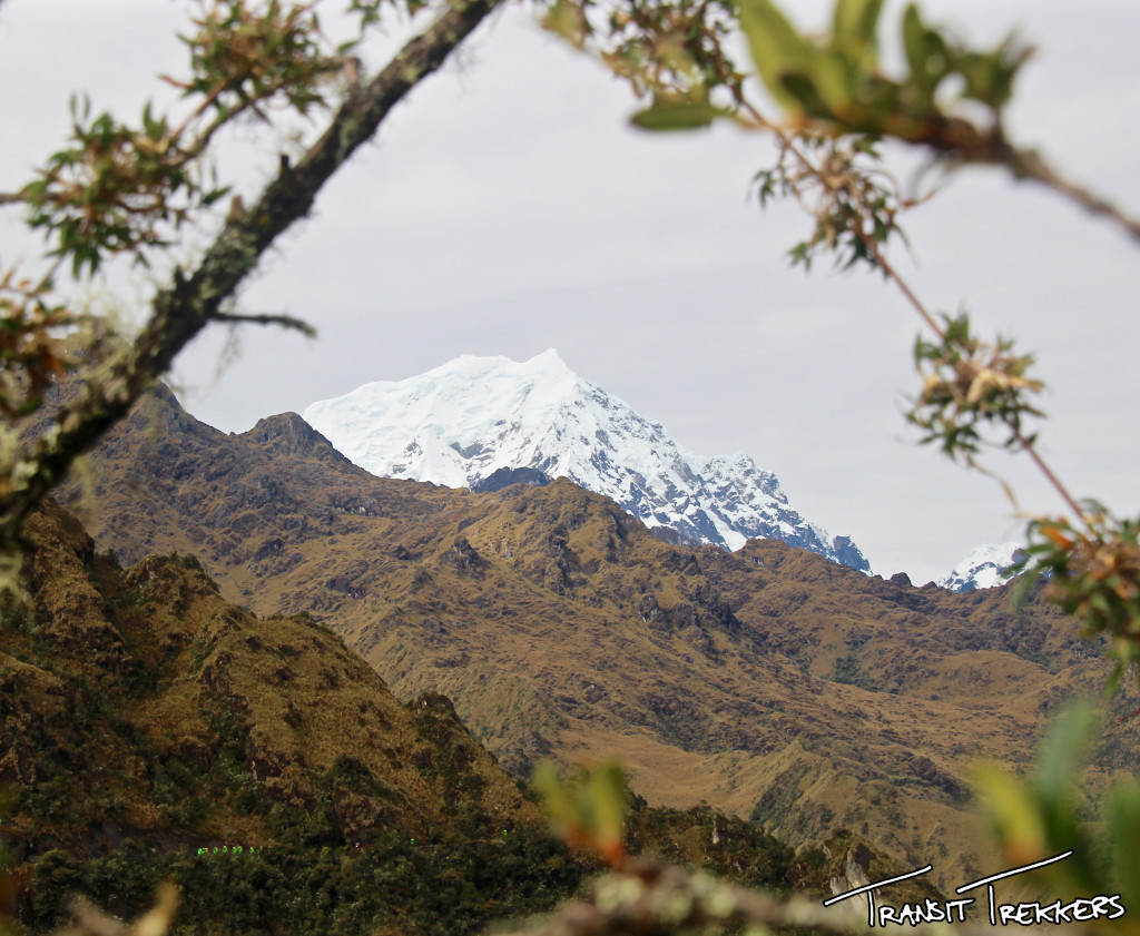 Inca Trail View