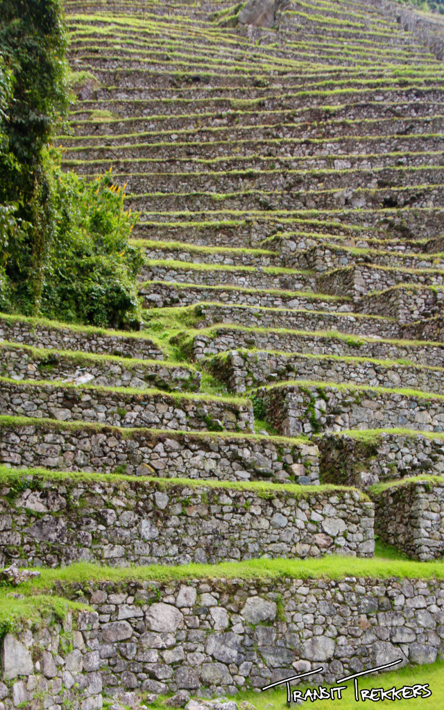 Inca Trail Remains