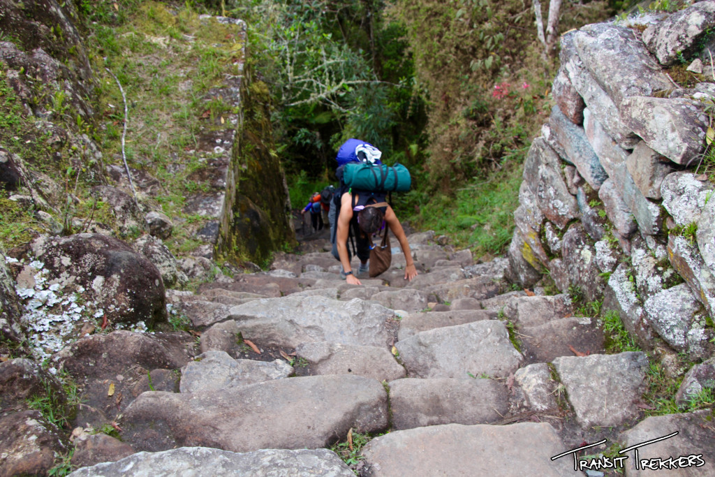 Inca Trail Monkey Steps
