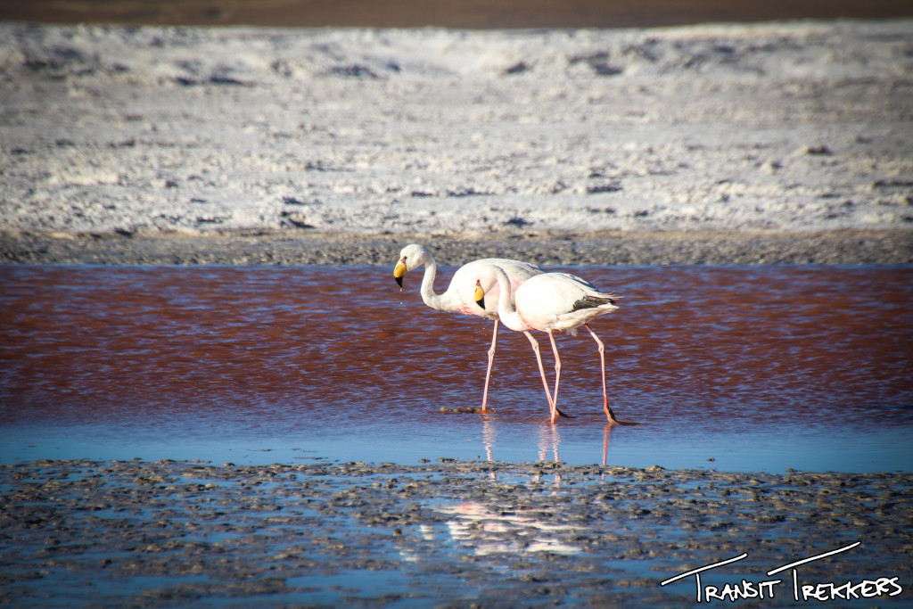 Salar de Uyuni