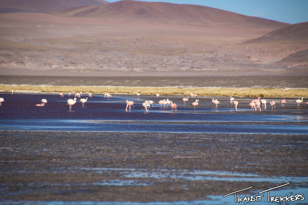 Salar de Uyuni