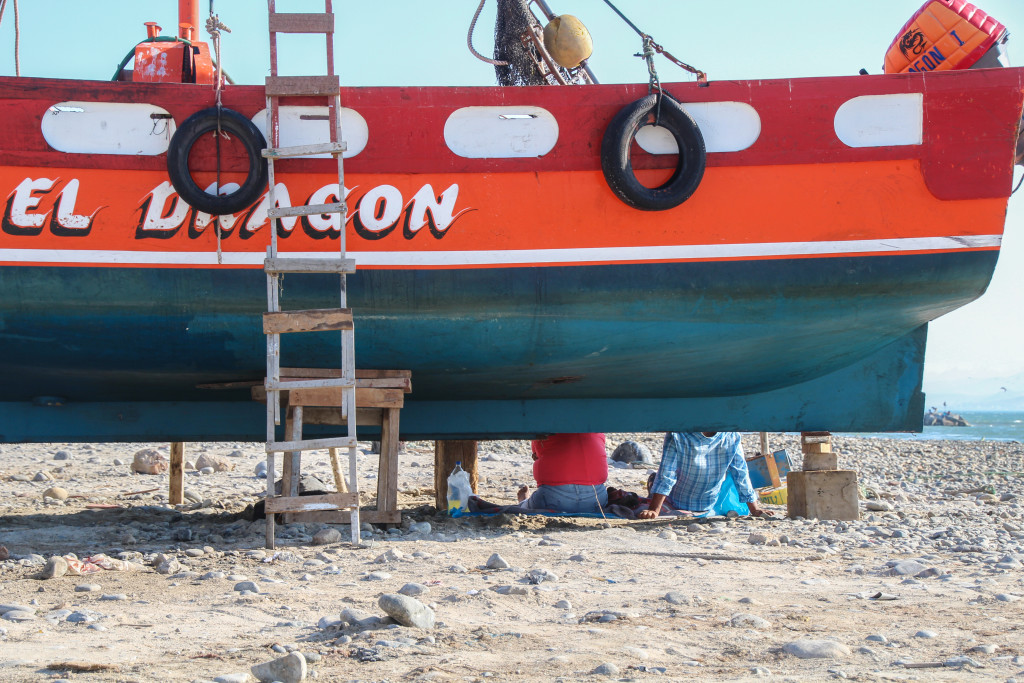 El Dragon boat, Pisco
