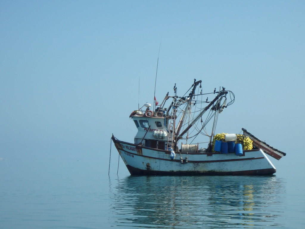 Paracas marina